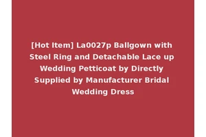 [Hot Item] La0027p Ballgown with Steel Ring and Detachable Lace up Wedding Petticoat by Directly Supplied by Manufacturer Bridal Wedding Dress