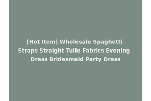 [Hot Item] Wholesale Spaghetti Straps Straight Tulle Fabrics Evening Dress Bridesmaid Party Dress