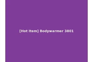 [Hot Item] Bodywarmer 3801