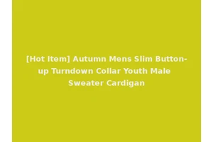 [Hot Item] Autumn Mens Slim Button-up Turndown Collar Youth Male Sweater Cardigan