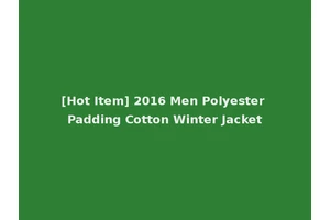 [Hot Item] 2016 Men Polyester Padding Cotton Winter Jacket