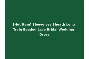 [Hot Item] Sleeveless Sheath Long Train Beaded Lace Bridal Wedding Dress