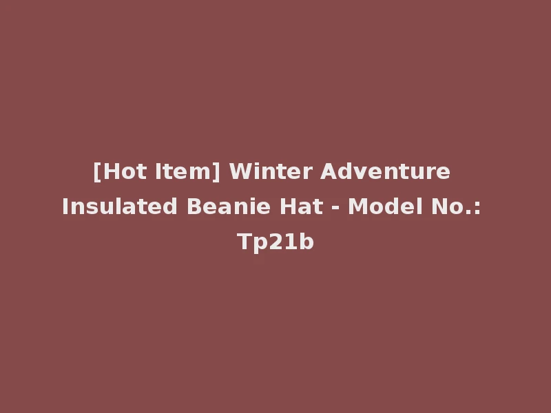 [Hot Item] Winter Adventure Insulated Beanie Hat - Model No.: Tp21b