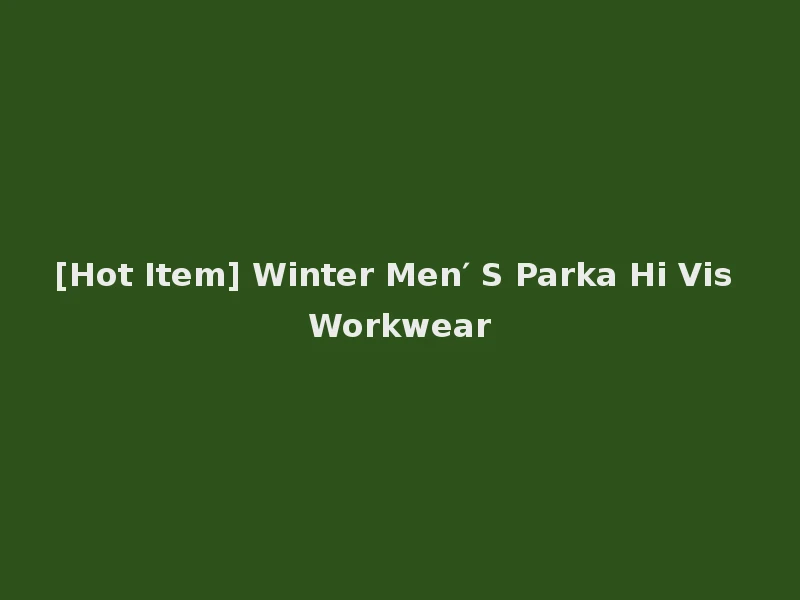 [Hot Item] Winter Men′ S Parka Hi Vis Workwear
