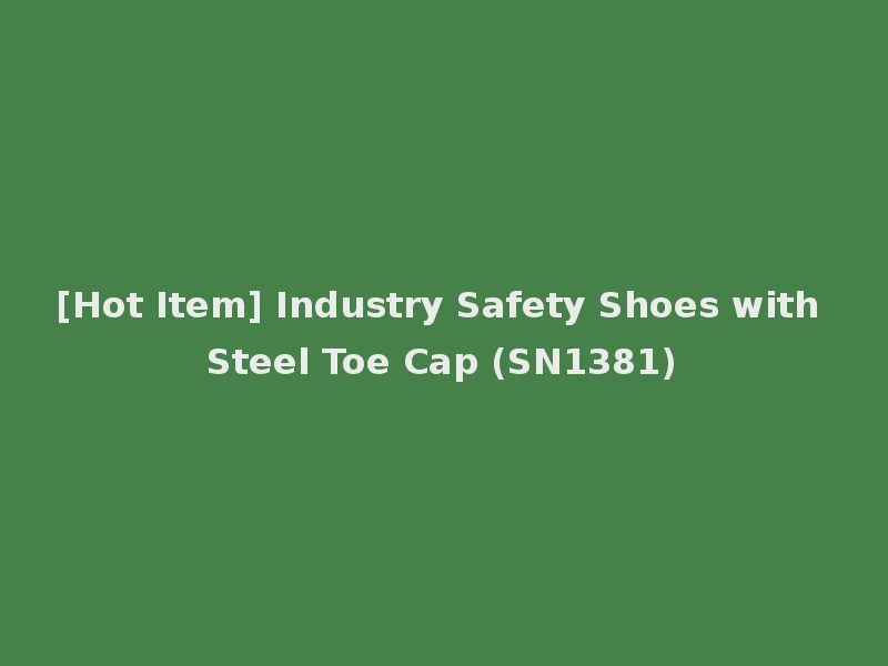 [Hot Item] Industry Safety Shoes with Steel Toe Cap (SN1381)