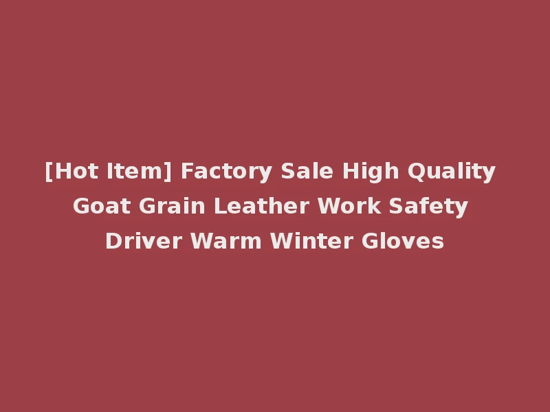 [Hot Item] Factory Sale High Quality Goat Grain Leather Work Safety Driver Warm Winter Gloves