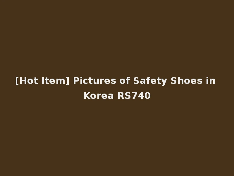 [Hot Item] Pictures of Safety Shoes in Korea RS740