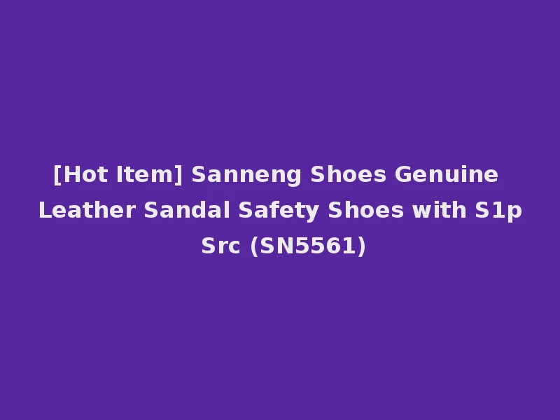[Hot Item] Sanneng Shoes Genuine Leather Sandal Safety Shoes with S1p Src (SN5561)