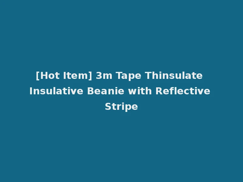 [Hot Item] 3m Tape Thinsulate Insulative Beanie with Reflective Stripe