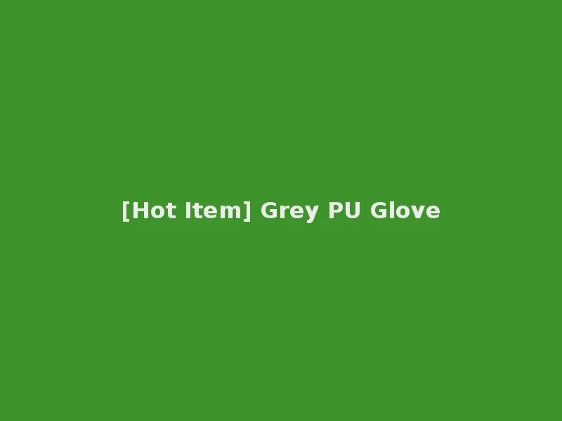 [Hot Item] Grey PU Glove