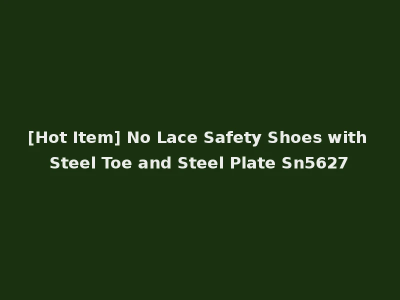 [Hot Item] No Lace Safety Shoes with Steel Toe and Steel Plate Sn5627