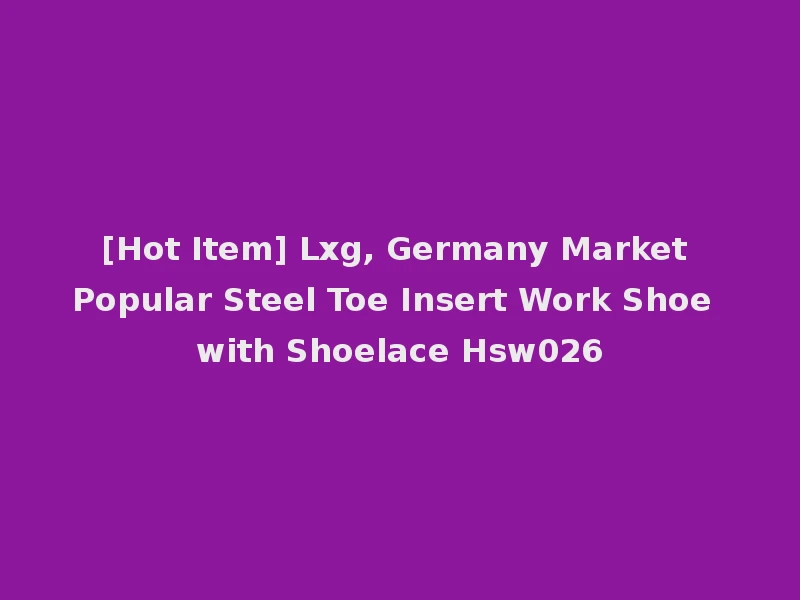 [Hot Item] Lxg, Germany Market Popular Steel Toe Insert Work Shoe with Shoelace Hsw026