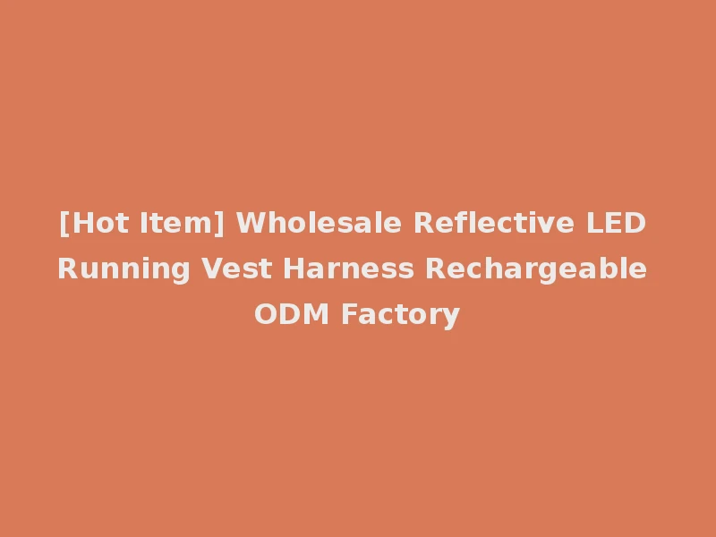 [Hot Item] Wholesale Reflective LED Running Vest Harness Rechargeable ODM Factory
