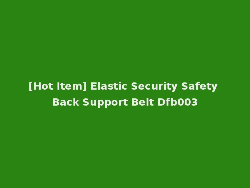 [Hot Item] Elastic Security Safety Back Support Belt Dfb003