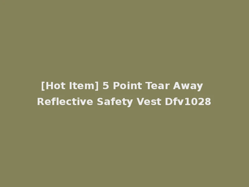 [Hot Item] 5 Point Tear Away Reflective Safety Vest Dfv1028
