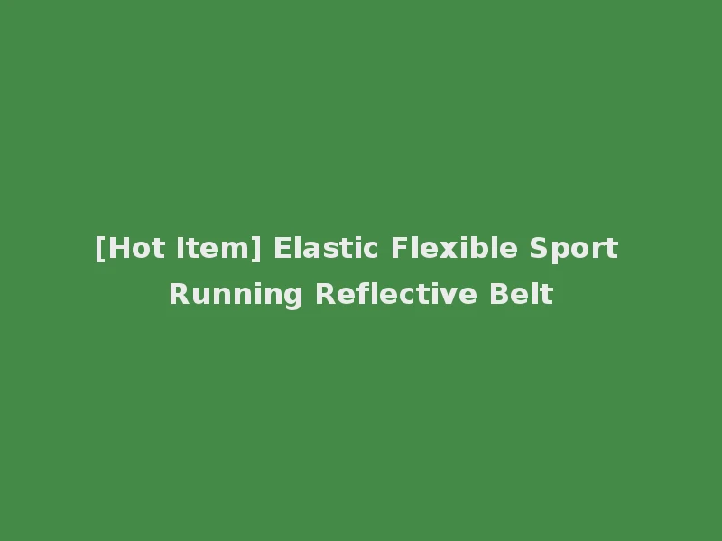 [Hot Item] Elastic Flexible Sport Running Reflective Belt