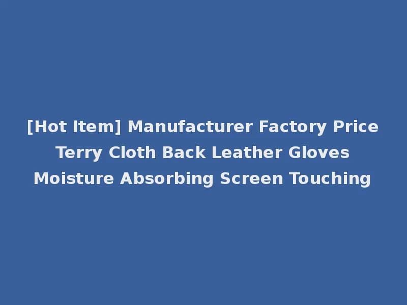 [Hot Item] Manufacturer Factory Price Terry Cloth Back Leather Gloves Moisture Absorbing Screen Touching