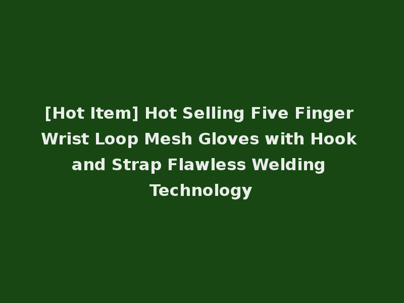[Hot Item] Hot Selling Five Finger Wrist Loop Mesh Gloves with Hook and Strap Flawless Welding Technology
