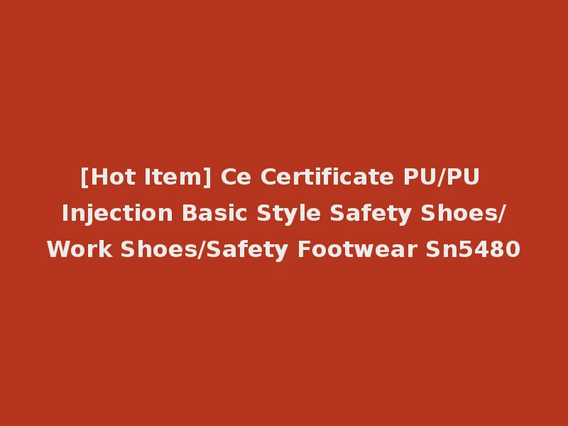 [Hot Item] Ce Certificate PU/PU Injection Basic Style Safety Shoes/Work Shoes/Safety Footwear Sn5480