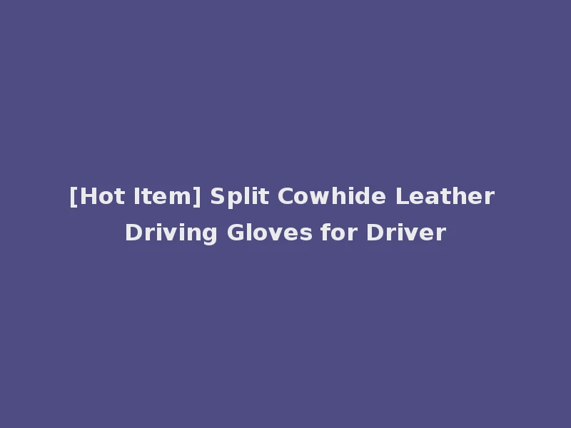 [Hot Item] Split Cowhide Leather Driving Gloves for Driver
