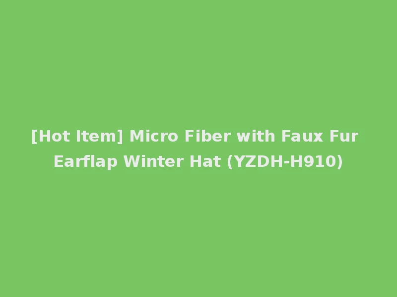 [Hot Item] Micro Fiber with Faux Fur Earflap Winter Hat (YZDH-H910)