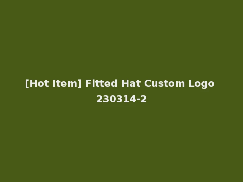 [Hot Item] Fitted Hat Custom Logo 230314-2