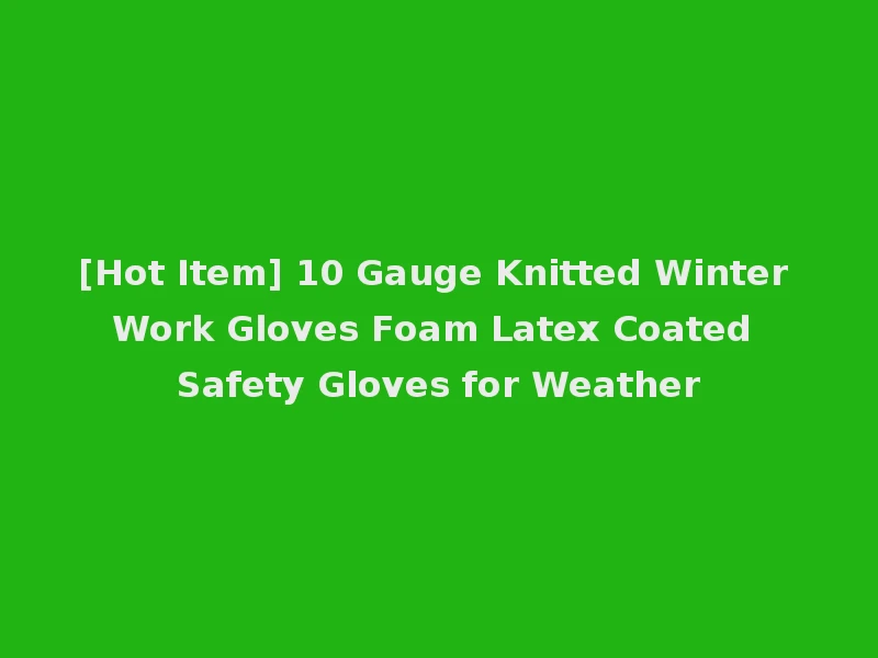 [Hot Item] 10 Gauge Knitted Winter Work Gloves Foam Latex Coated Safety Gloves for Weather