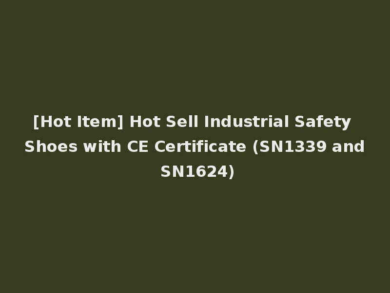 [Hot Item] Hot Sell Industrial Safety Shoes with CE Certificate (SN1339 and SN1624)