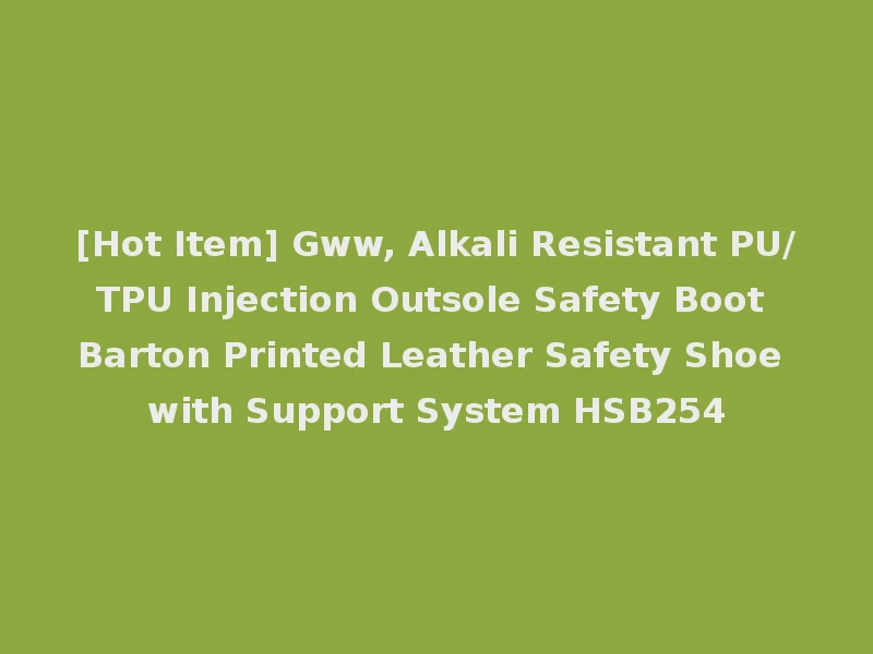 [Hot Item] Gww, Alkali Resistant PU/TPU Injection Outsole Safety Boot Barton Printed Leather Safety Shoe with Support System HSB254