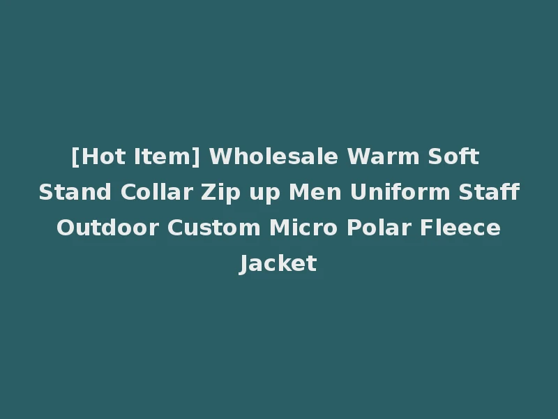 [Hot Item] Wholesale Warm Soft Stand Collar Zip up Men Uniform Staff Outdoor Custom Micro Polar Fleece Jacket