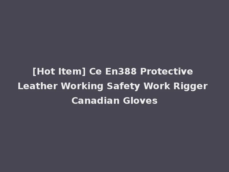 [Hot Item] Ce En388 Protective Leather Working Safety Work Rigger Canadian Gloves