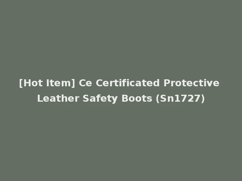 [Hot Item] Ce Certificated Protective Leather Safety Boots (Sn1727)