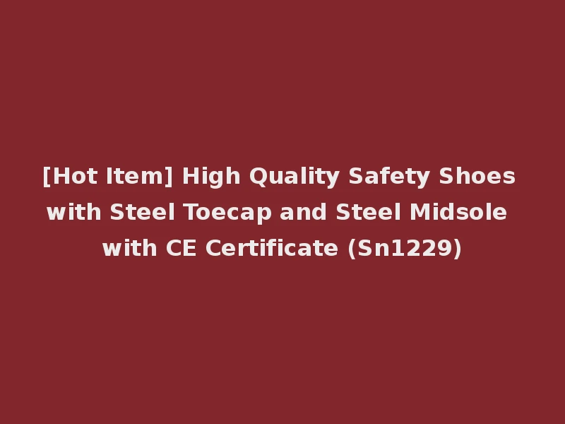 [Hot Item] High Quality Safety Shoes with Steel Toecap and Steel Midsole with CE Certificate (Sn1229)