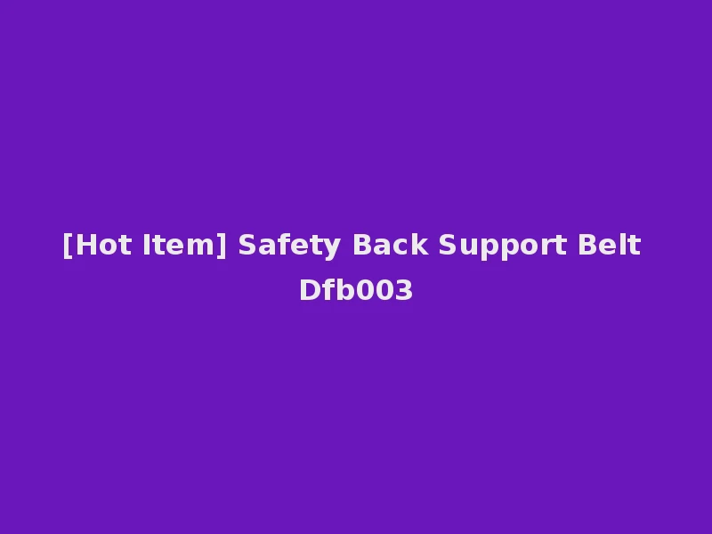 [Hot Item] Safety Back Support Belt Dfb003