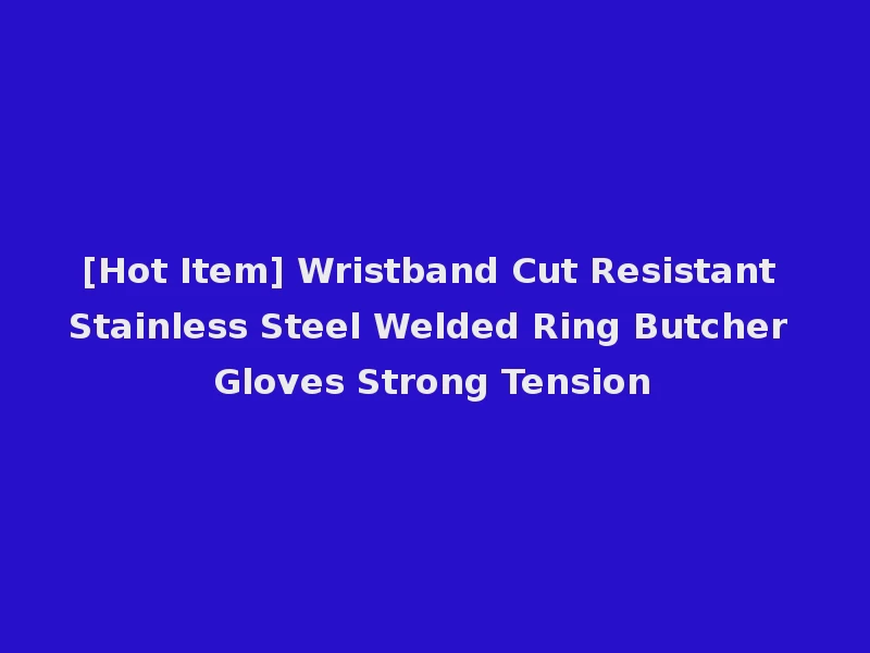 [Hot Item] Wristband Cut Resistant Stainless Steel Welded Ring Butcher Gloves Strong Tension