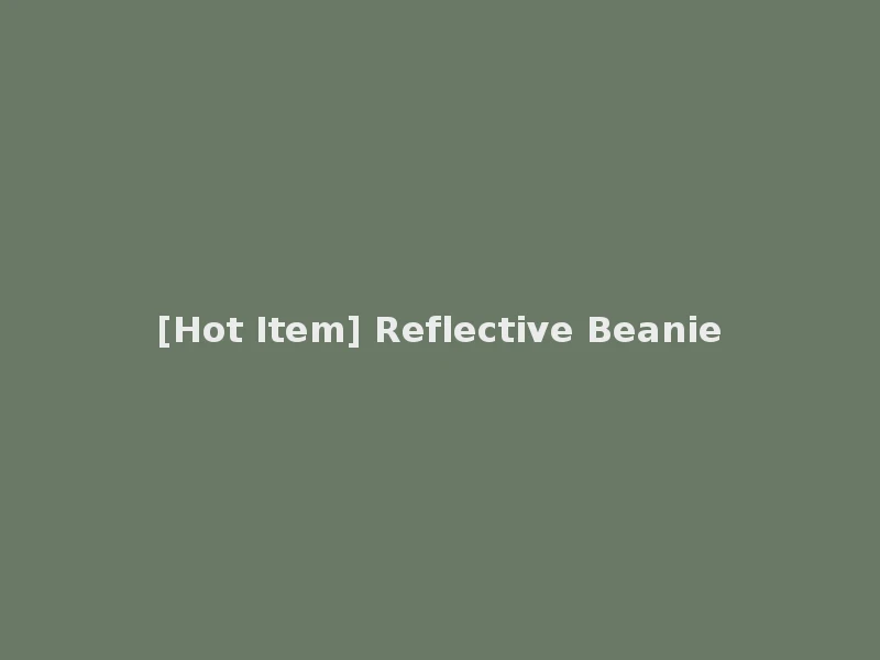 [Hot Item] Reflective Beanie