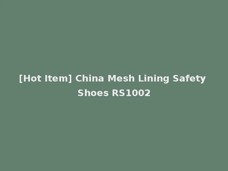 [Hot Item] China Mesh Lining Safety Shoes RS1002