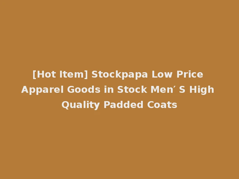 [Hot Item] Stockpapa Low Price Apparel Goods in Stock Men′ S High Quality Padded Coats