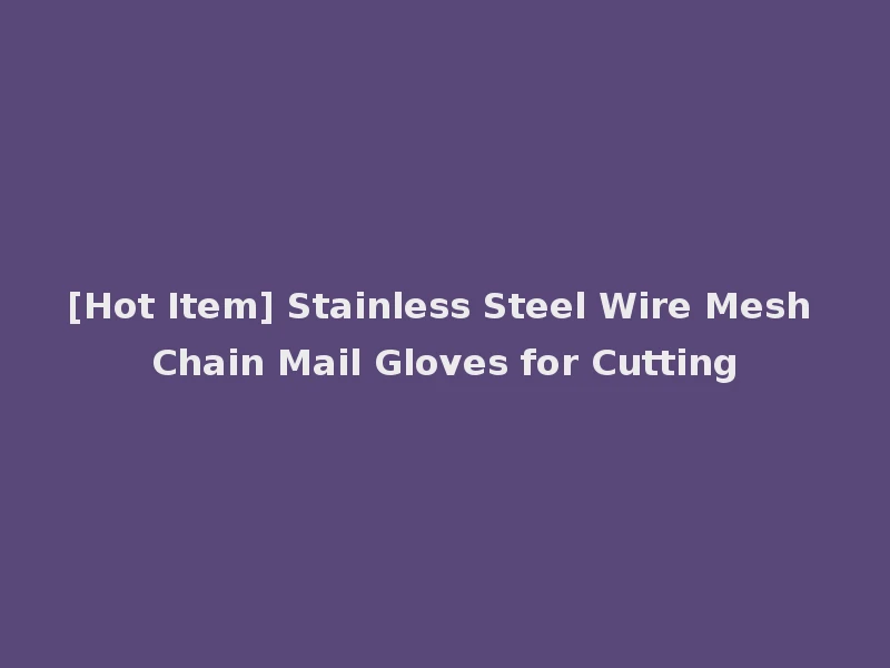 [Hot Item] Stainless Steel Wire Mesh Chain Mail Gloves for Cutting
