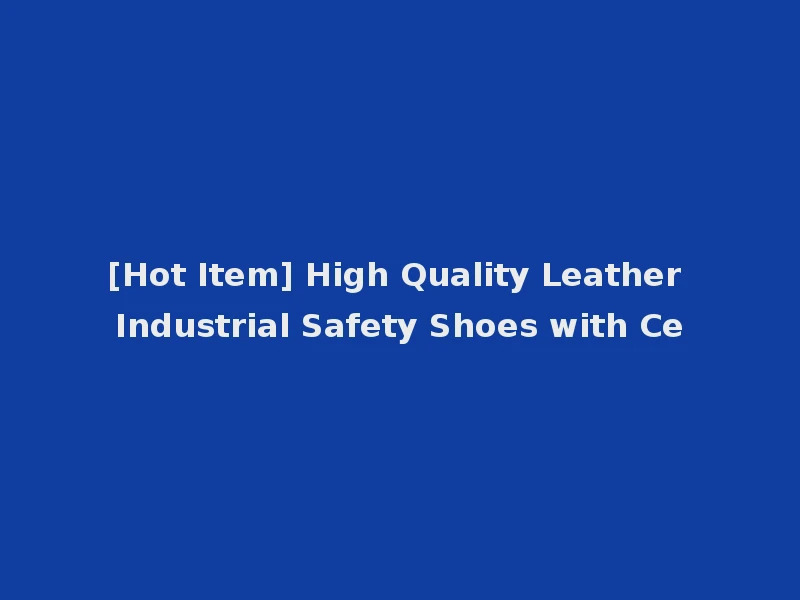 [Hot Item] High Quality Leather Industrial Safety Shoes with Ce