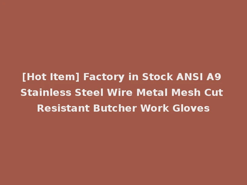 [Hot Item] Factory in Stock ANSI A9 Stainless Steel Wire Metal Mesh Cut Resistant Butcher Work Gloves