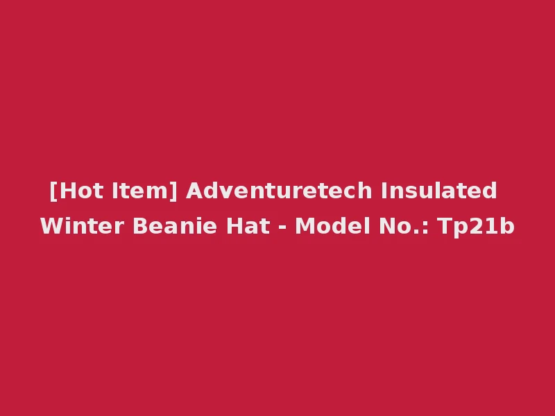 [Hot Item] Adventuretech Insulated Winter Beanie Hat - Model No.: Tp21b