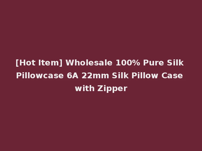 [Hot Item] Wholesale 100% Pure Silk Pillowcase 6A 22mm Silk Pillow Case with Zipper