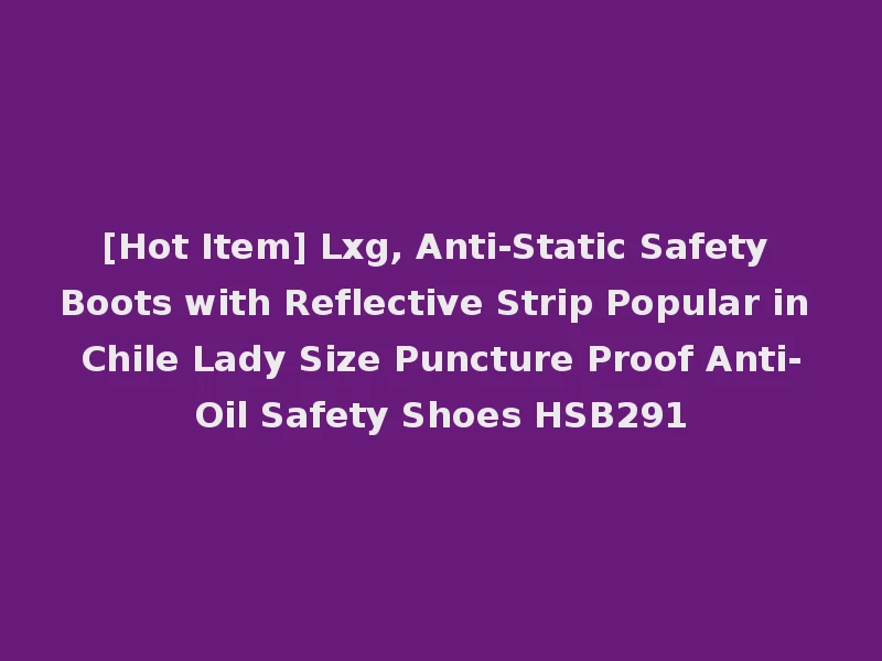 [Hot Item] Lxg, Anti-Static Safety Boots with Reflective Strip Popular in Chile Lady Size Puncture Proof Anti-Oil Safety Shoes HSB291