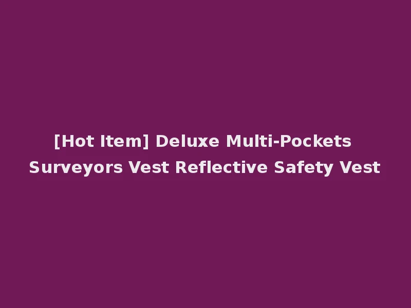 [Hot Item] Deluxe Multi-Pockets Surveyors Vest Reflective Safety Vest