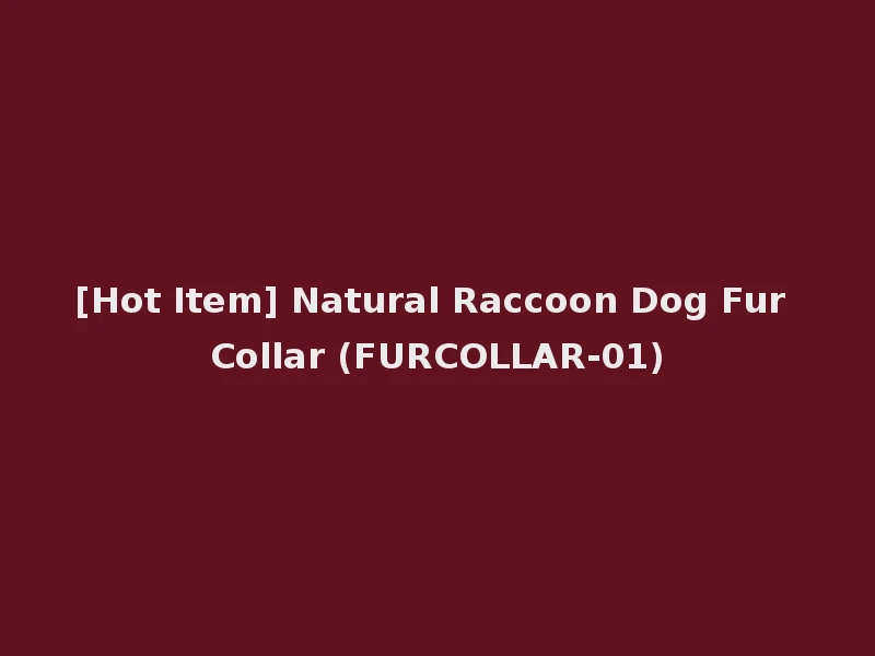 [Hot Item] Natural Raccoon Dog Fur Collar (FURCOLLAR-01)