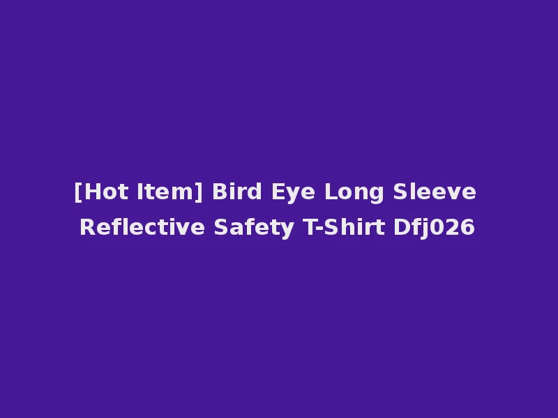 [Hot Item] Bird Eye Long Sleeve Reflective Safety T-Shirt Dfj026