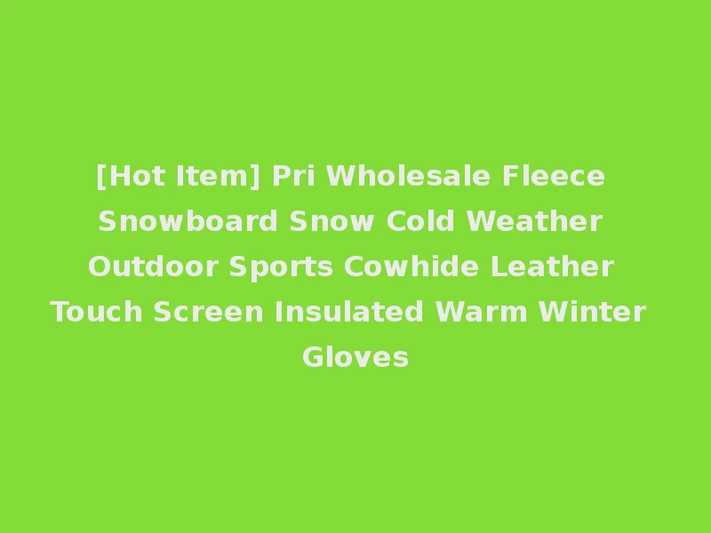 [Hot Item] Pri Wholesale Fleece Snowboard Snow Cold Weather Outdoor Sports Cowhide Leather Touch Screen Insulated Warm Winter Gloves