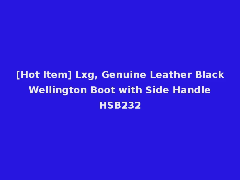 [Hot Item] Lxg, Genuine Leather Black Wellington Boot with Side Handle HSB232