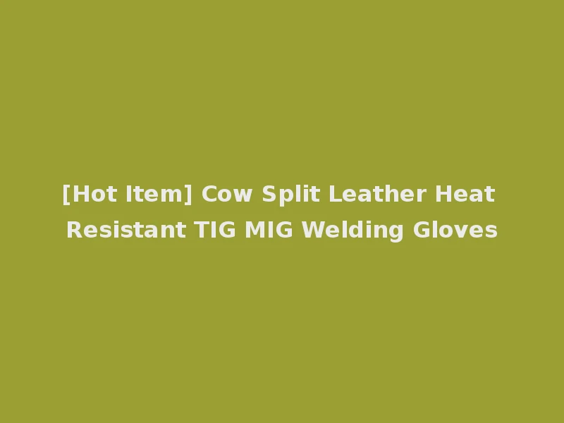 [Hot Item] Cow Split Leather Heat Resistant TIG MIG Welding Gloves